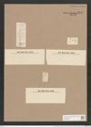 Synedra vaucheriae var ? gioiphila Grun. (de-Toni-Nr.: Genus 66, Species 2583) Zeichnungen Sammlung Grunow Nr. 5177 (NHMW-BOT-W0373505)